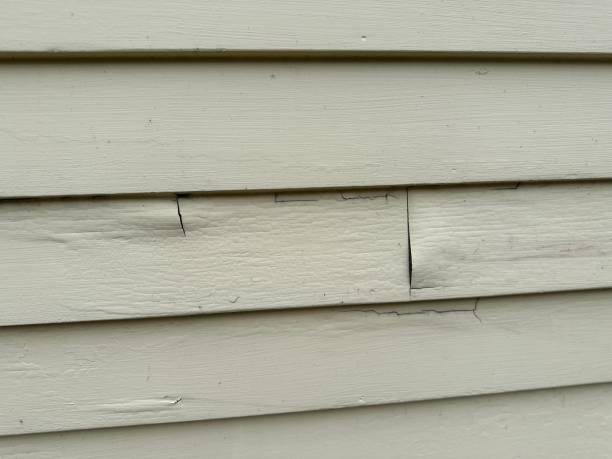 Best Foreclosure Cleanout  in Beattyville, KY